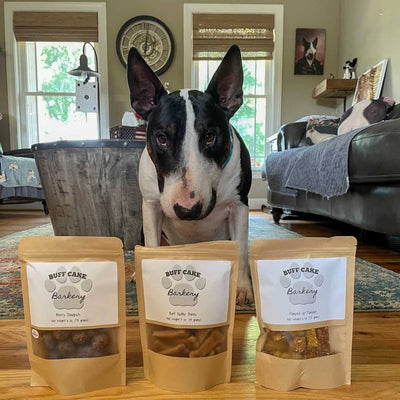 Why Are Natural Dog Treats Better For Dogs?