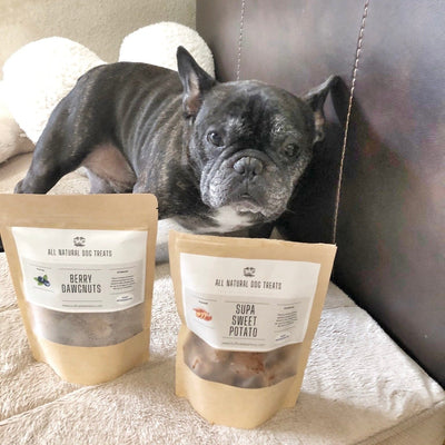 March Madness for Mutts: Celebrate National Puppy Day with Buff Cake Barkery!