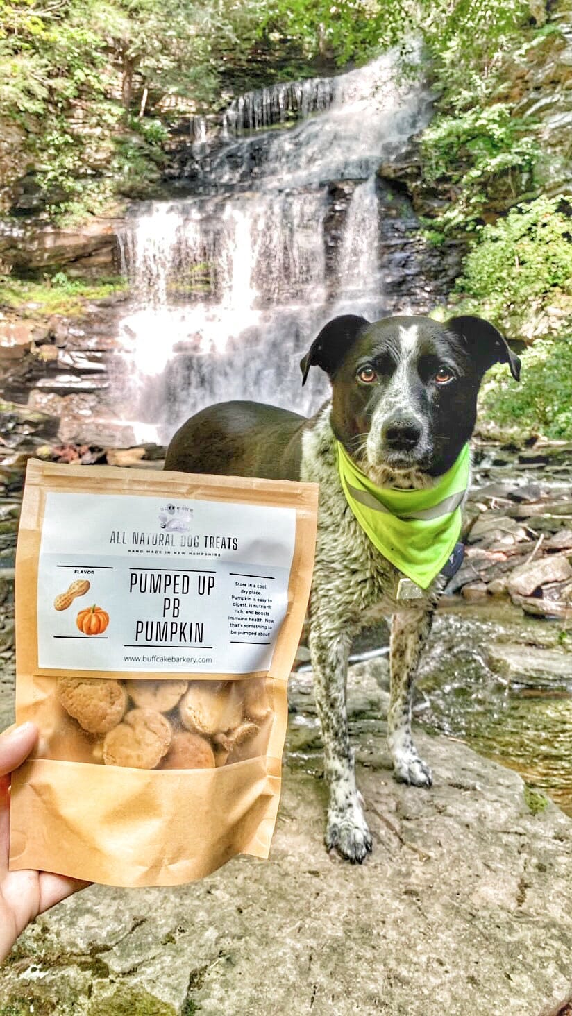 Buff Cake Barkery – All-Natural Dog Treats for Happy, Healthy Pups