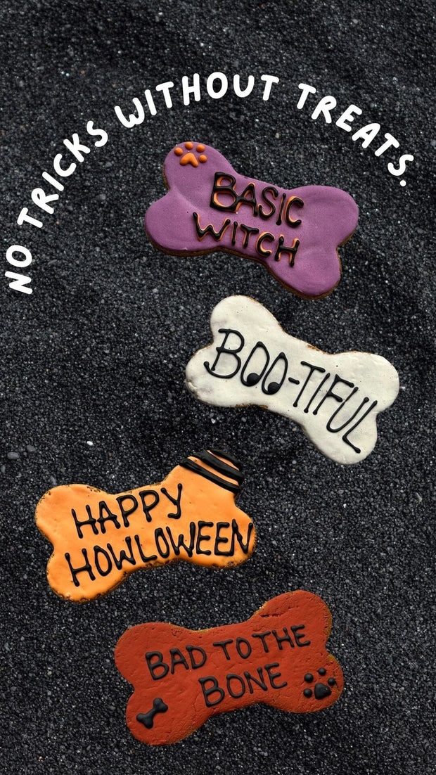 Wicked Fun Bones Buff Cake Barkery Bone Bundle 