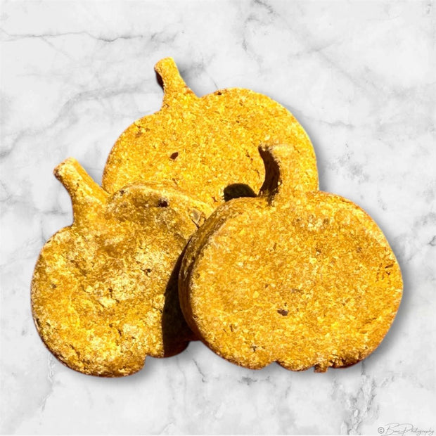 Pumped Up PB Pumpkin Dog Treat Buff Cake Barkery 