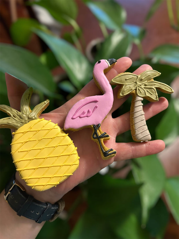 🌴 Tropical Trio Dog Treat Buff Cake Barkery 