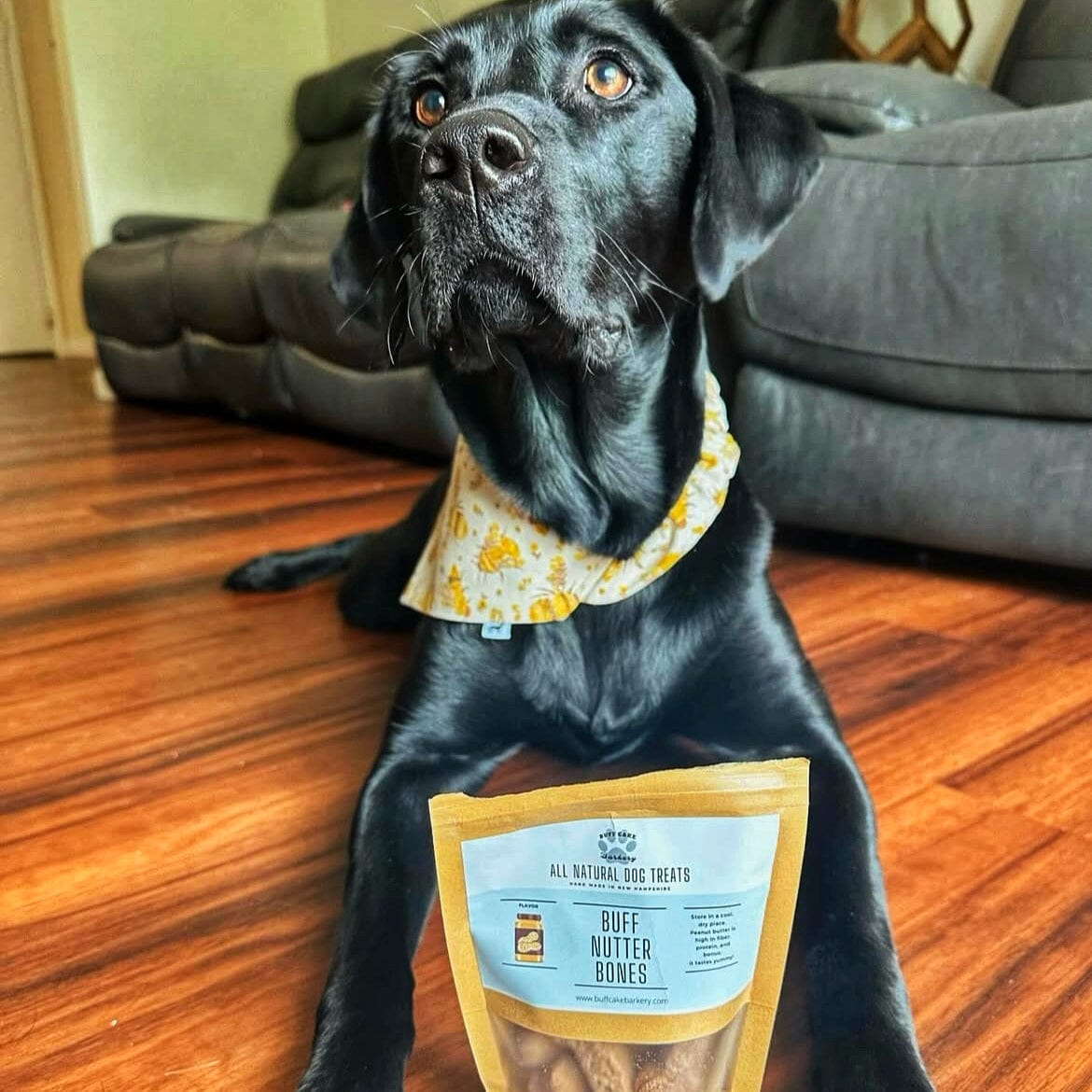Buff Cake Barkery – Your Favorite Dog Bakery for Custom Treats