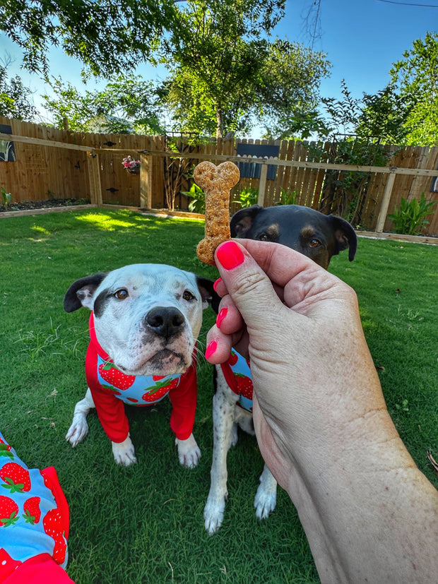 Buff Nutter Bones Dog Treat Buff Cake Barkery 
