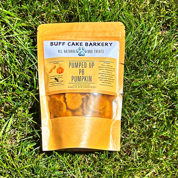 Pumped Up PB Pumpkin Dog Treat Buff Cake Barkery 