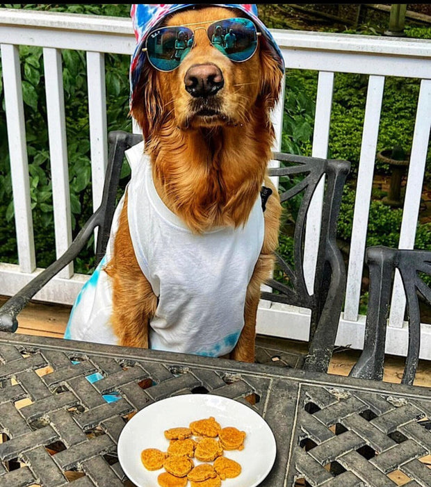 Pumped Up PB Pumpkin Dog Treat Buff Cake Barkery 
