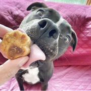 "Supa" Sweet Potato Dog Treats (6 oz) Dog Treat Buff Cake Barkery 